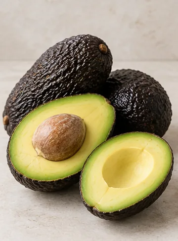 Ilustrasi alpukat untuk katalog Black Avocado